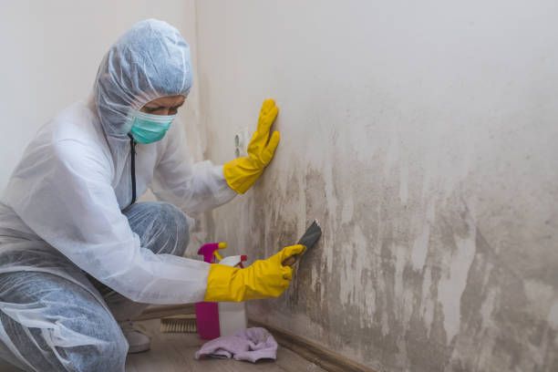 Best Residential Mold Inspection & Testing  in Ranchettes, WY